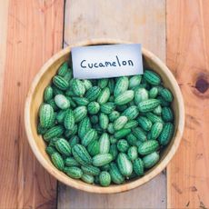 A bowl filled with tiny green cucamelons; a handwritten label sits atop of them