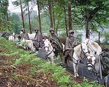 white-horses.jpg