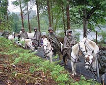 white-horses.jpg