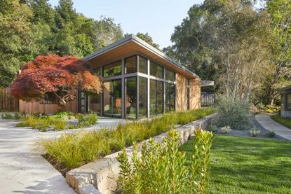 a yard with a japanese maple tree