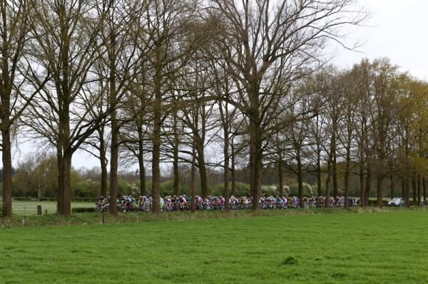 Dwarfed by the trees in Gelderland