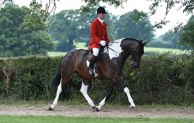 KELLYTHORPES MASTER KEY, exhibited by Oliver Hood winner of the Team Colosso Supreme Skewbald &amp;amp; Piebald Indian Trail Ridden Pony Championship during The Longines Royal International Horse Show (CSIO 5*) held at The All England Jumping Course at Hickstead in West Sussex in the UK between 25 - 30th July 2017