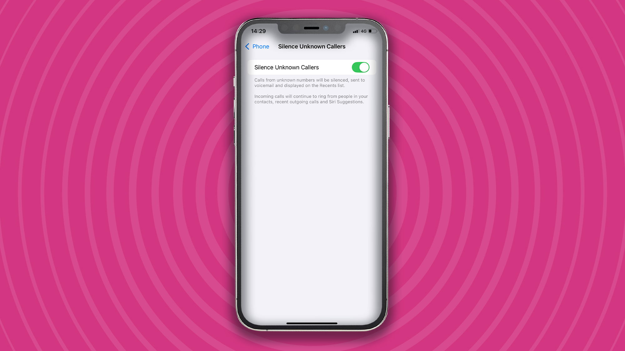 Silence spam callers