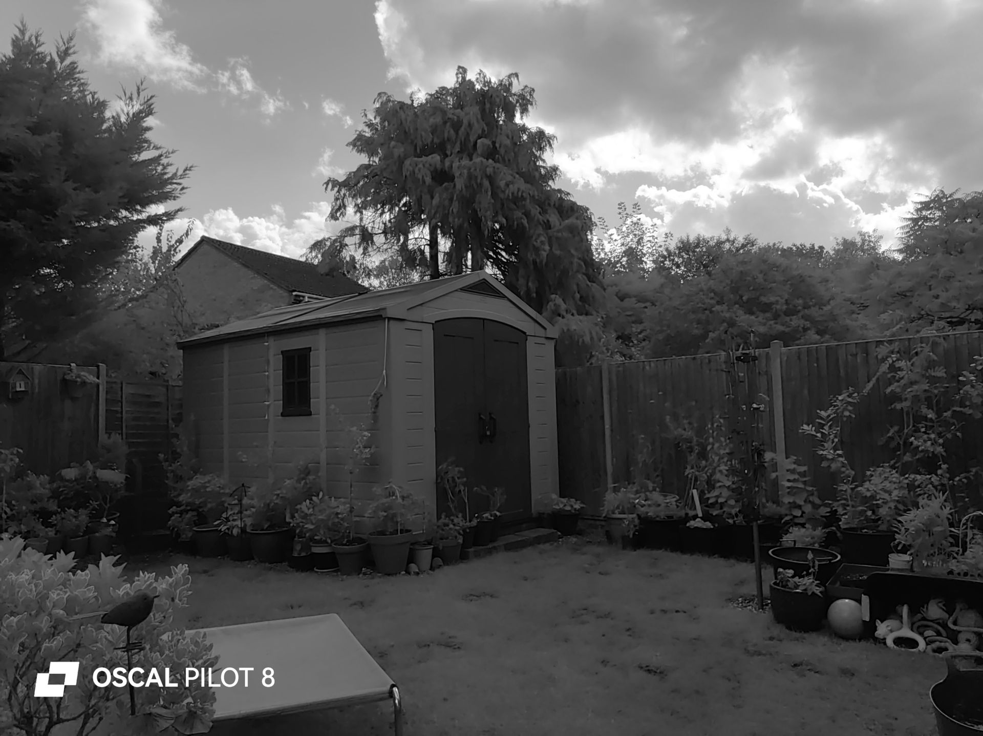 Oscal Pilot 8 Photo Examples