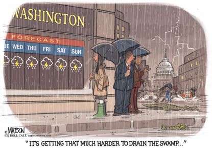 Political cartoon U.S. Washington D.C. rain drain the swamp