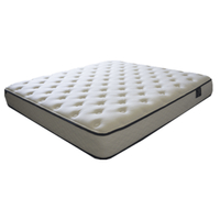 The WinkBed Mattress: from
