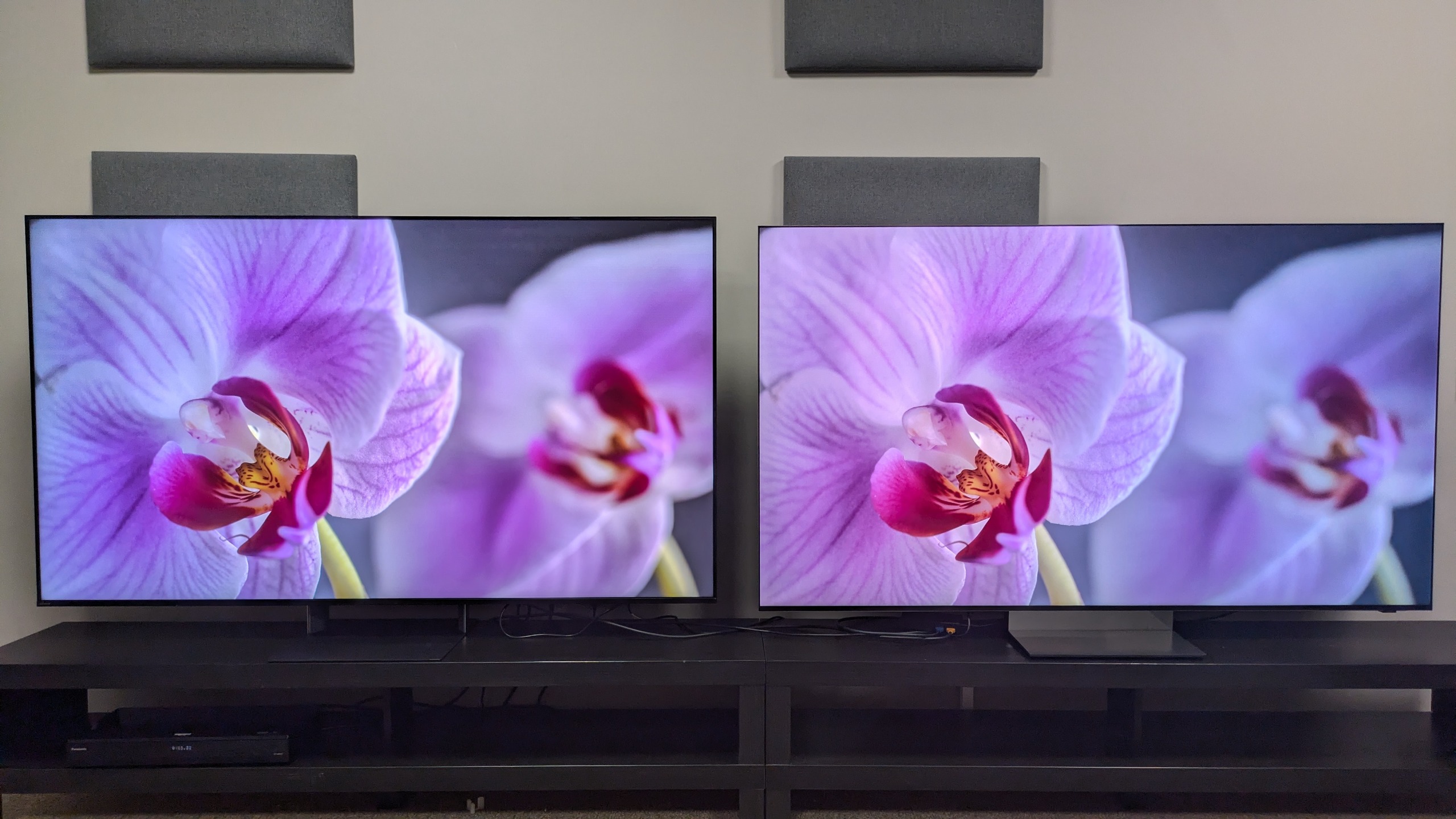 Sony Bravia 9 II vs Samsung R95H showing a purple flower on screen. The purple of the flower is vibrant on both screens, but the Bravia 9 II's colors are richer 