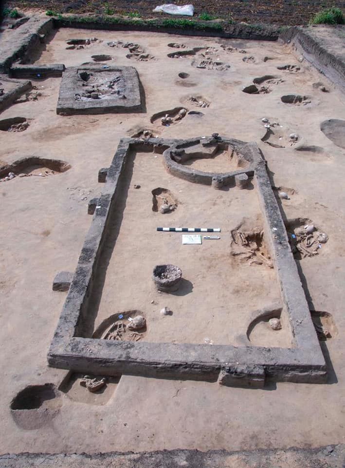 A view of the excavated graves.
