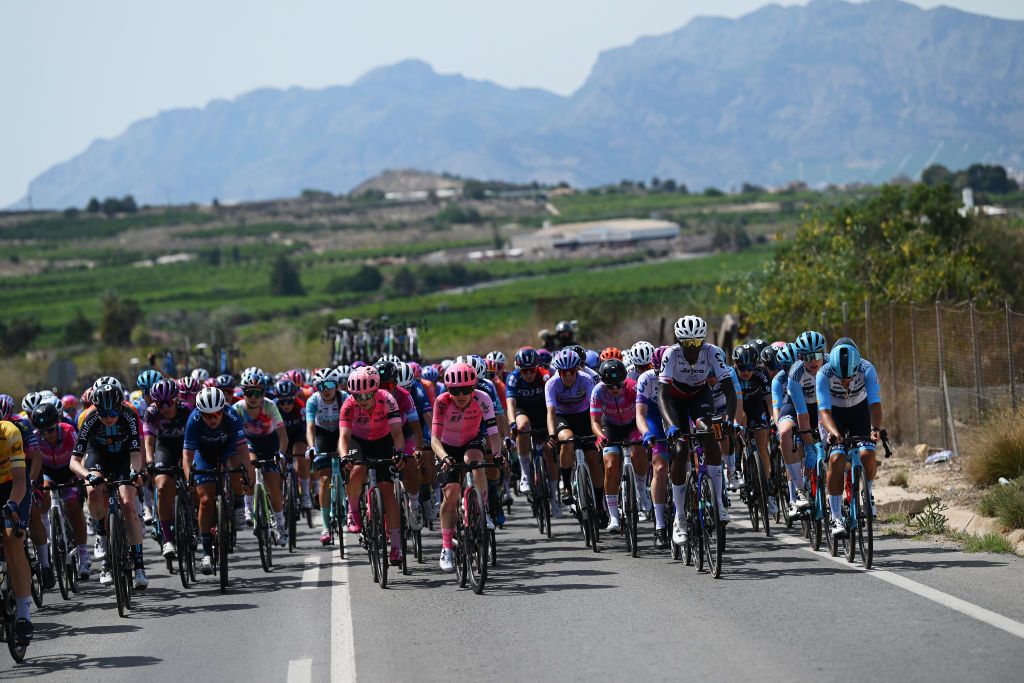 PILAR DE LA HORADADA SPAIN MAY 02 A general view of Esmee Peperkamp of The Netherlands and Team DSM Kathrin Hammes of Germany and Sara Poidevin of Canada and Team EF EducationTibcoSvb Teniel Campbell of Trinidad Tobago and Team JaycoAlula Elynor Backstedt of United Kingdom and Team TrekSegafredo and the peloton compete during the 9th La Vuelta Femenina 2023 Stage 2 a 1058km stage from Orihuela to Pilar de la Horadada UCIWWT on May 02 2023 in Pilar de la Horadada Spain Photo by Dario BelingheriGetty Images