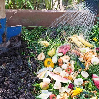 Watering compost pile