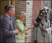 RoyalCairo.jpg