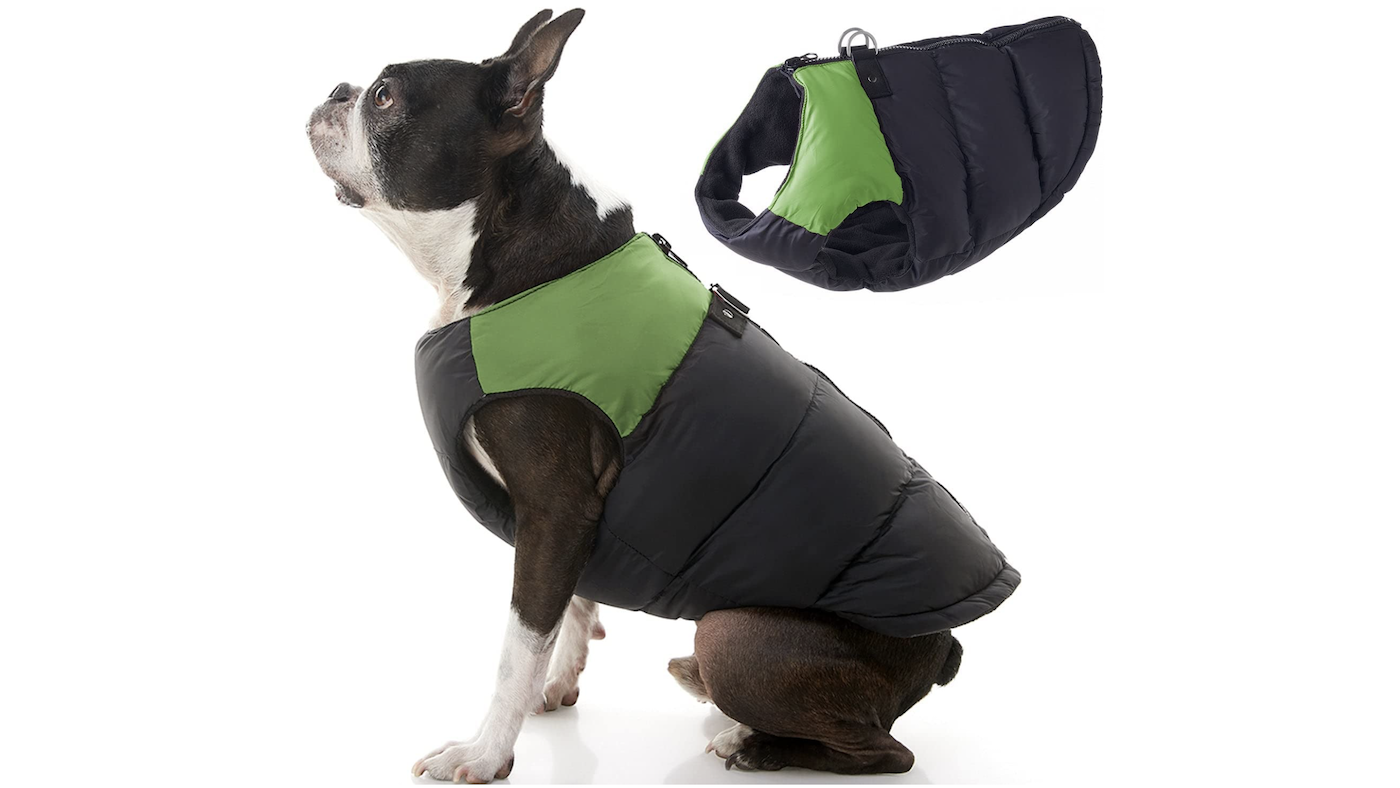 Gooby padded jacket for dog with built-in harness