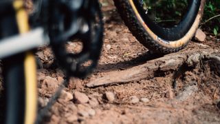 Cotton cased gravel tyres roll over woody, sandy trails