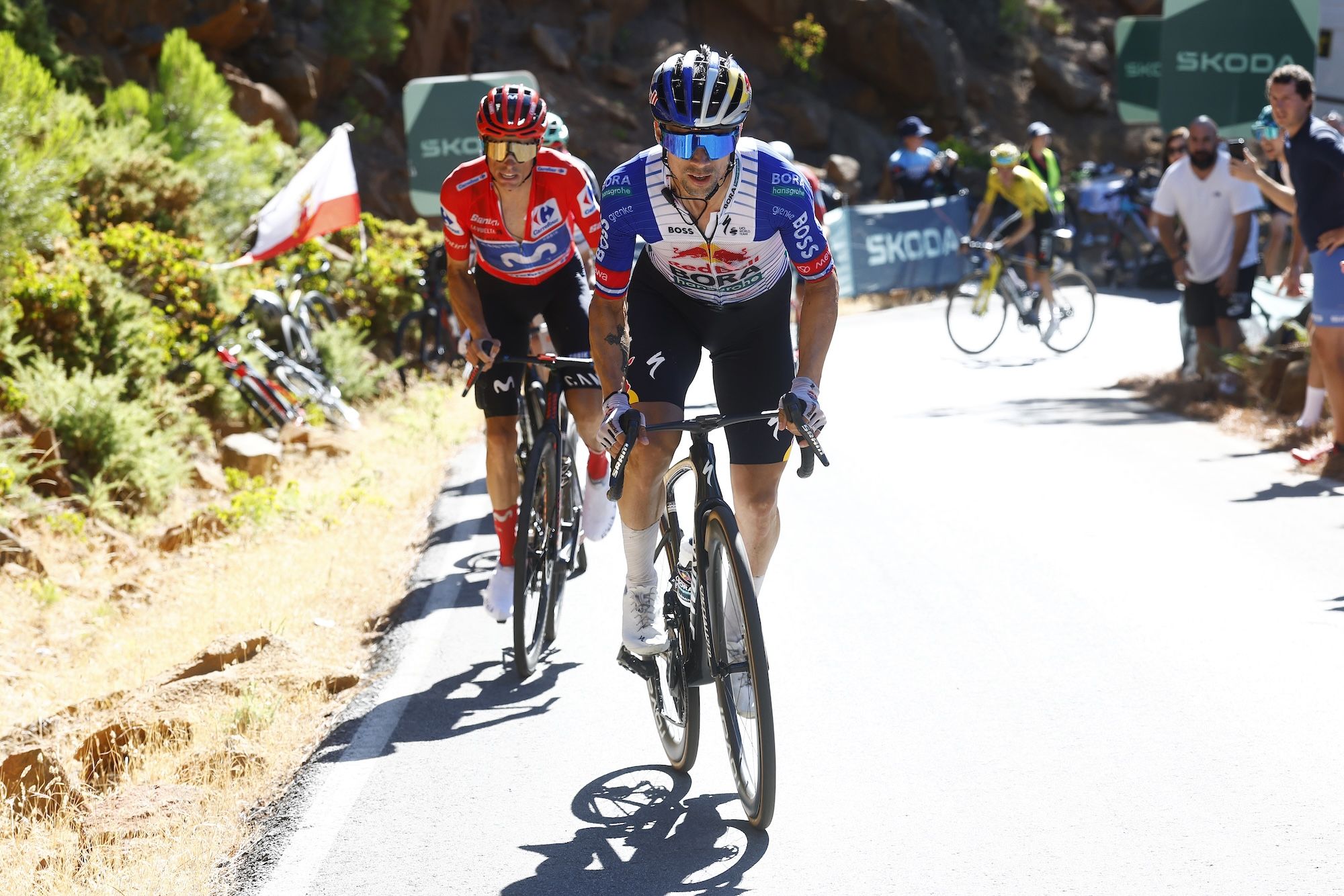 Red Bull vow 'no regrets' at Vuelta a España as Primož Roglič aggressive