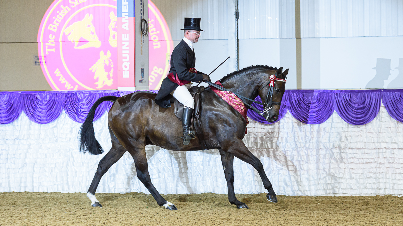 - BHSA National Championship Show 2021
