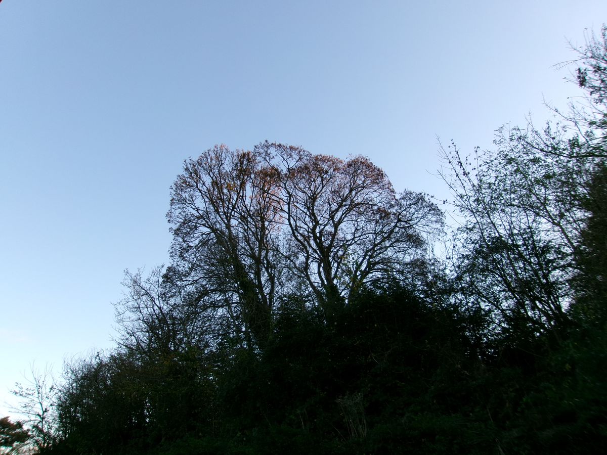 A photo taken on a Kodak PIXPRO FZ45 compact camera