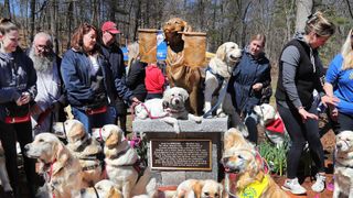 Memorial statue revealed of official Boston Marathon dog Spencer