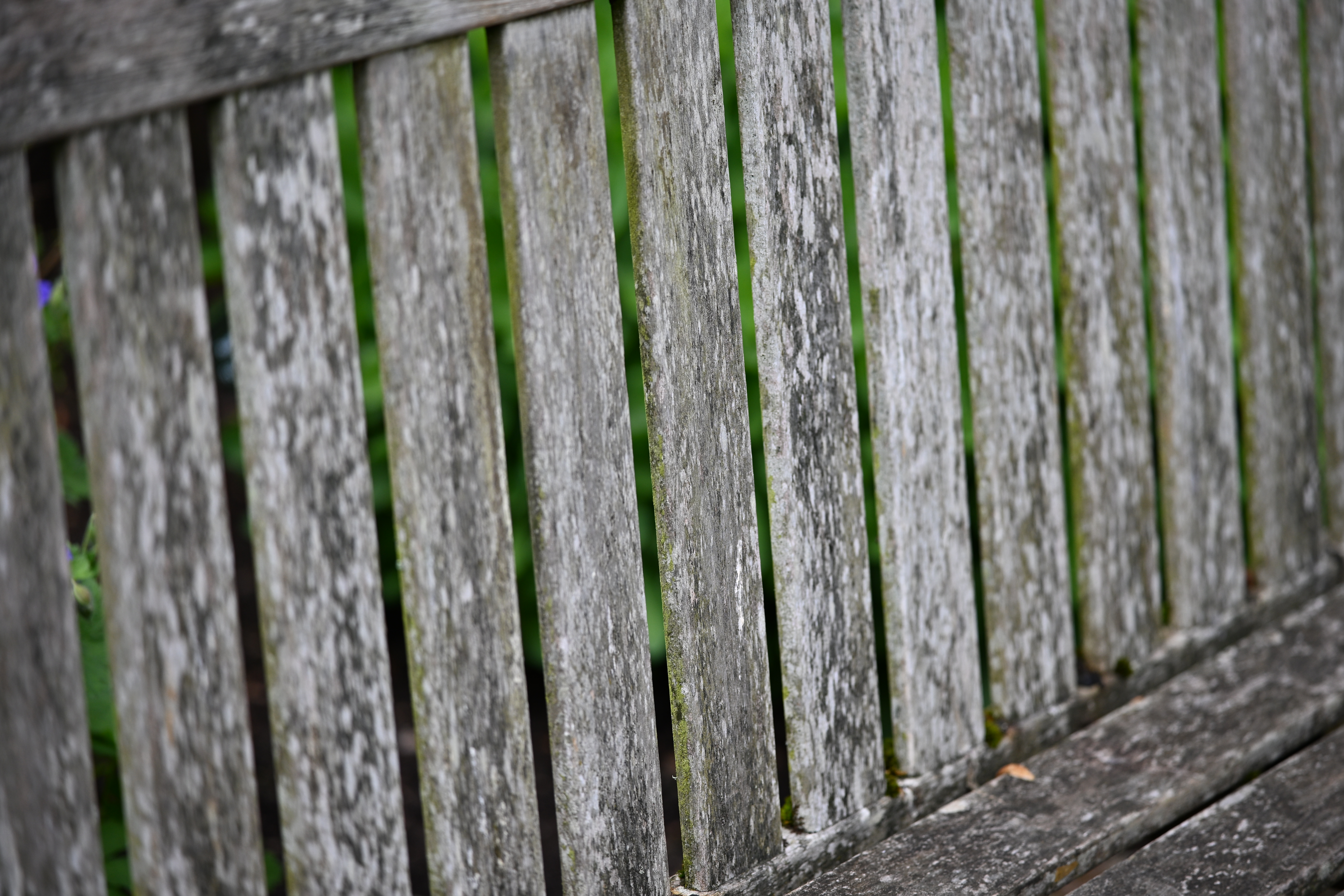 Viltrox AF 90mm f/2.2 Evo sample image