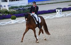 Woodlander-Farouche_Aachen_PN16_19137.jpg