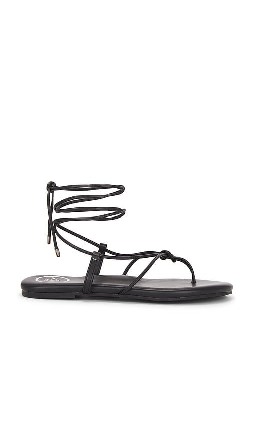Angie Sandal