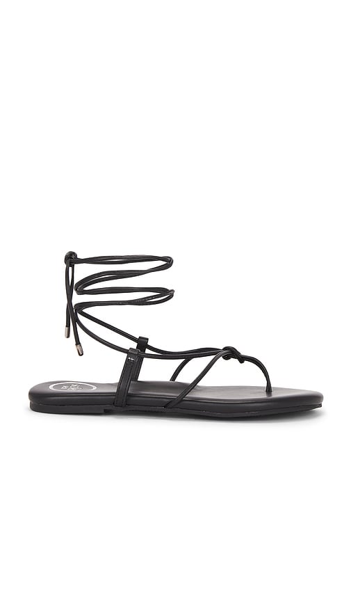 Angie Sandal