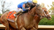 Cody&rsquo;s Wish winning the Breeders&rsquo; Cup Dirt Mile