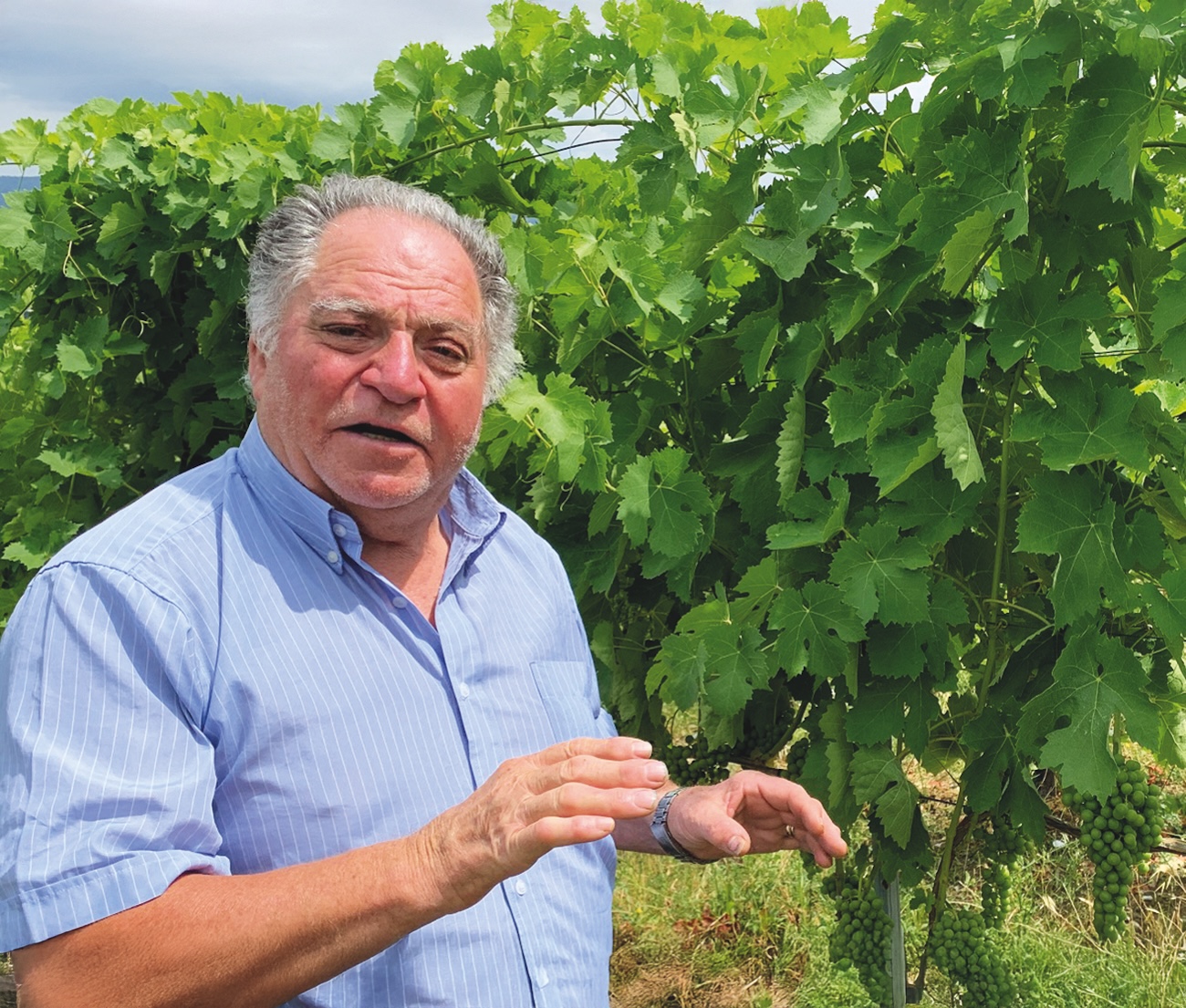 Salvatore Molettieri