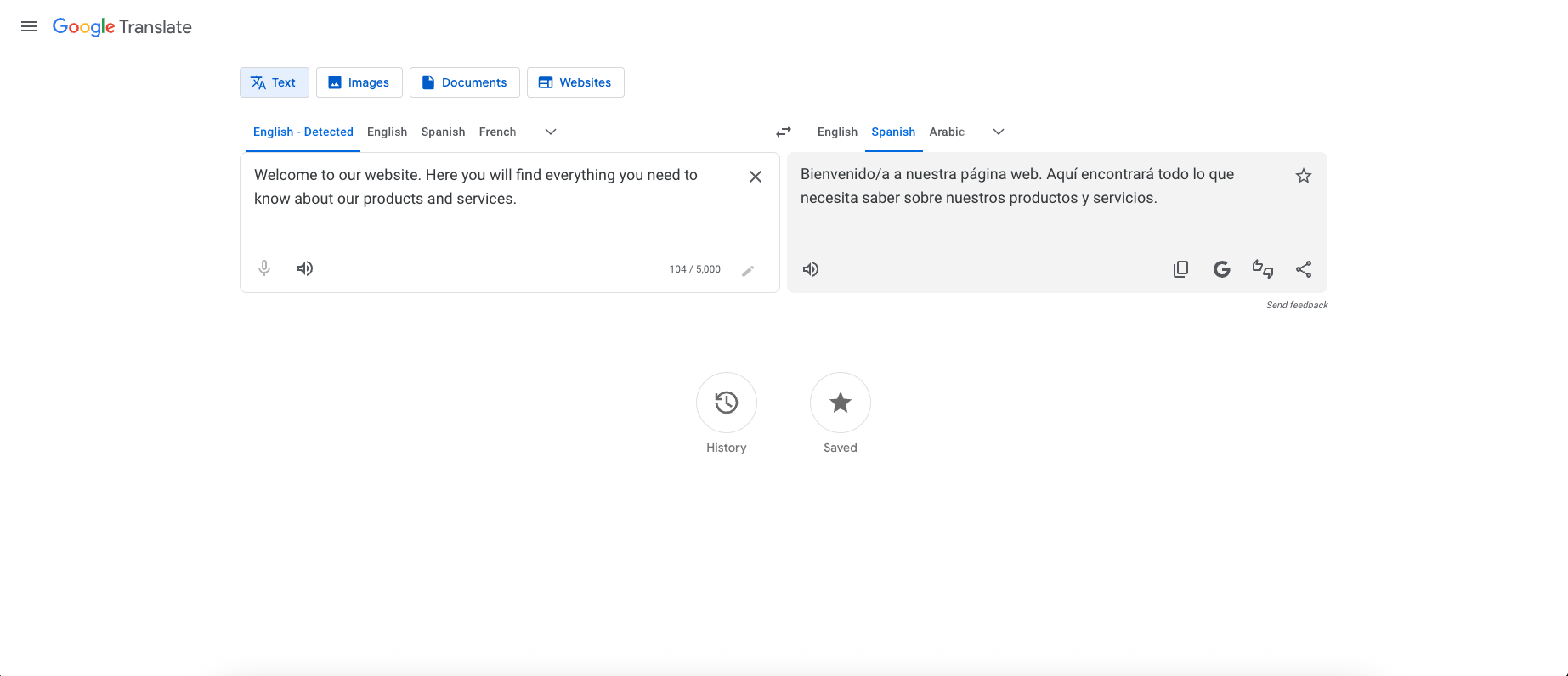 screenshot of Google translate being used