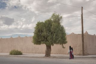 A Woman a Baby and a Tree