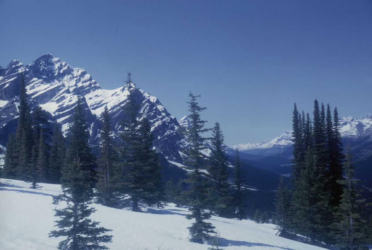 The Rocky Mountains might soon be re-named the Plasticky Mountains.