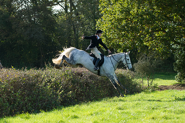 Blackmore Vale Hunt 01 11 2014