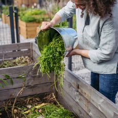 Woman pours bucket of garden scraps into compost bin