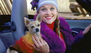 Bruiser and Reese Witherspoon's Elle Woods in Legally Blonde