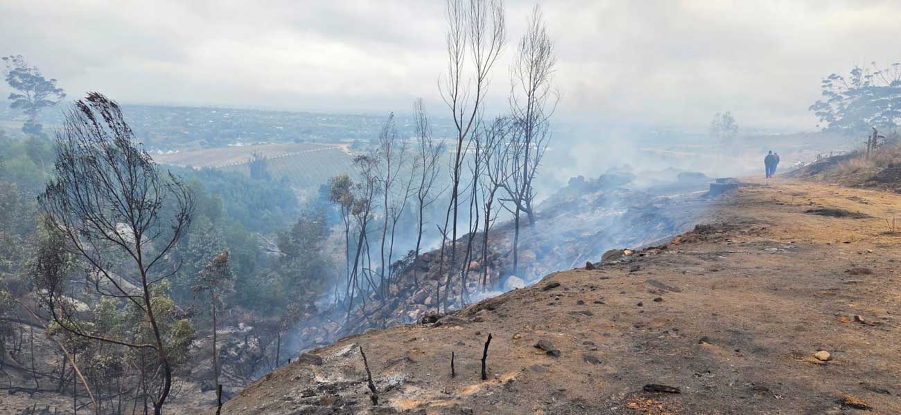 Wildfires in Buitenverwachting, Constantia