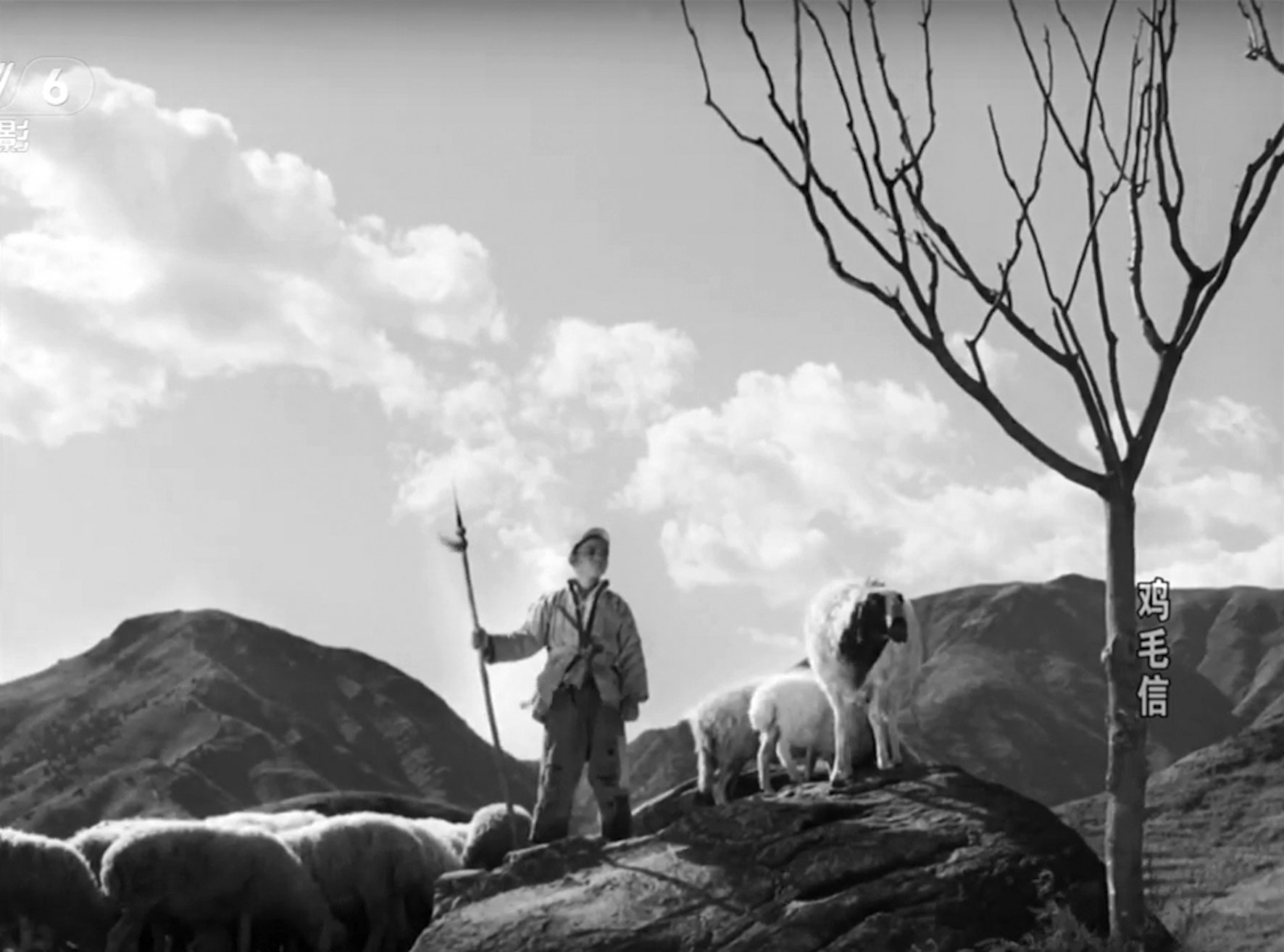 A child sentinel standing in a field