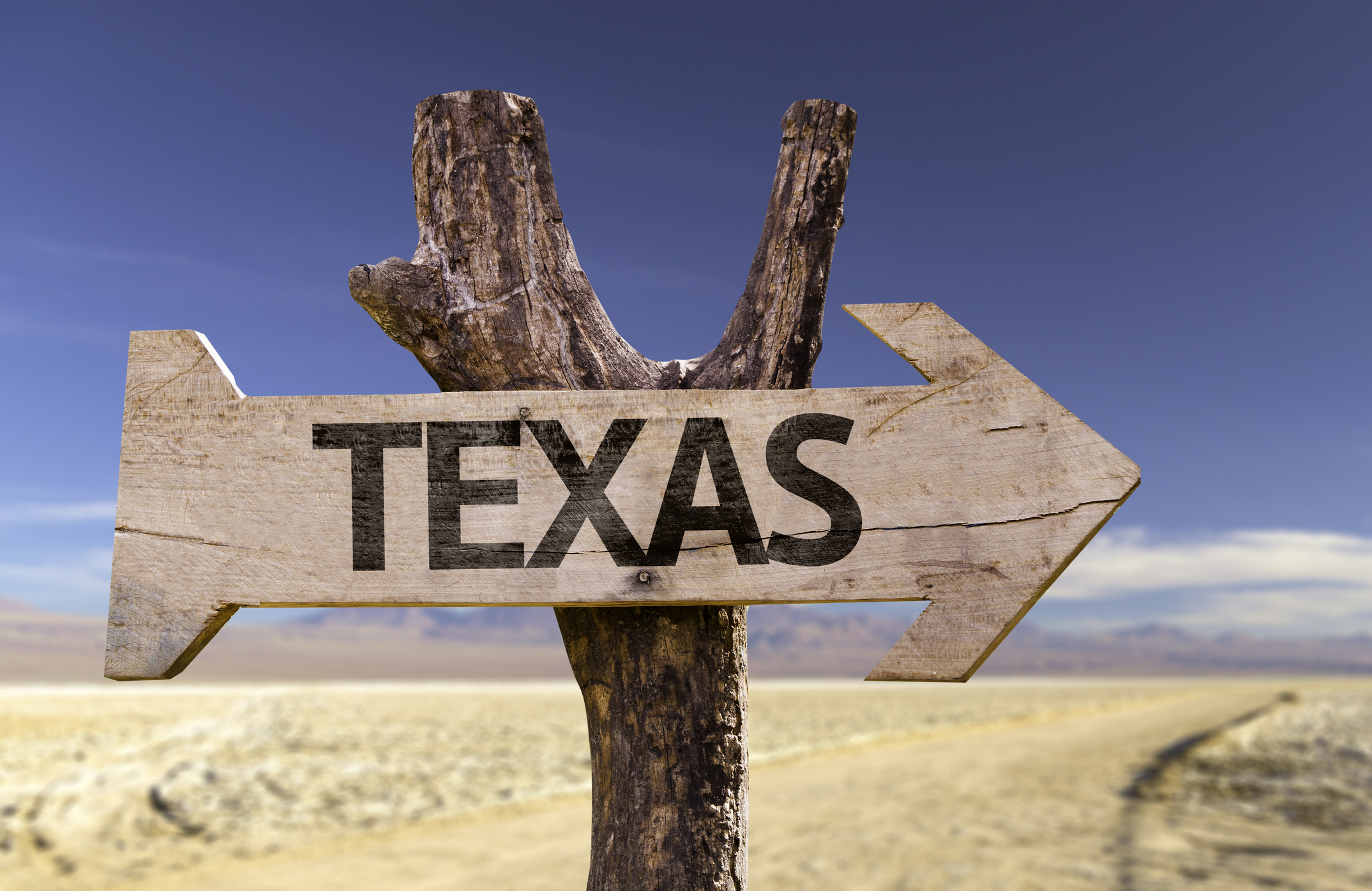 Wooden arrow sign that reads "Texas" against a desert backdrop