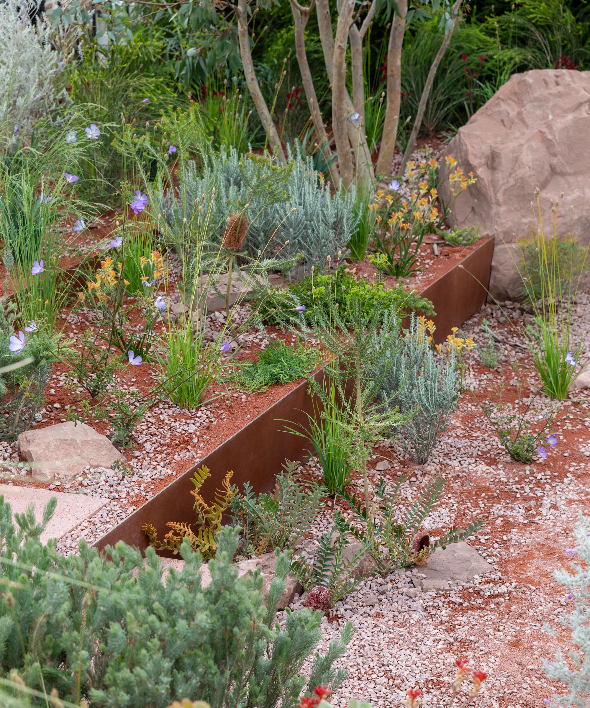 RHS Chelsea 2026 Journey Beyond the Tracks