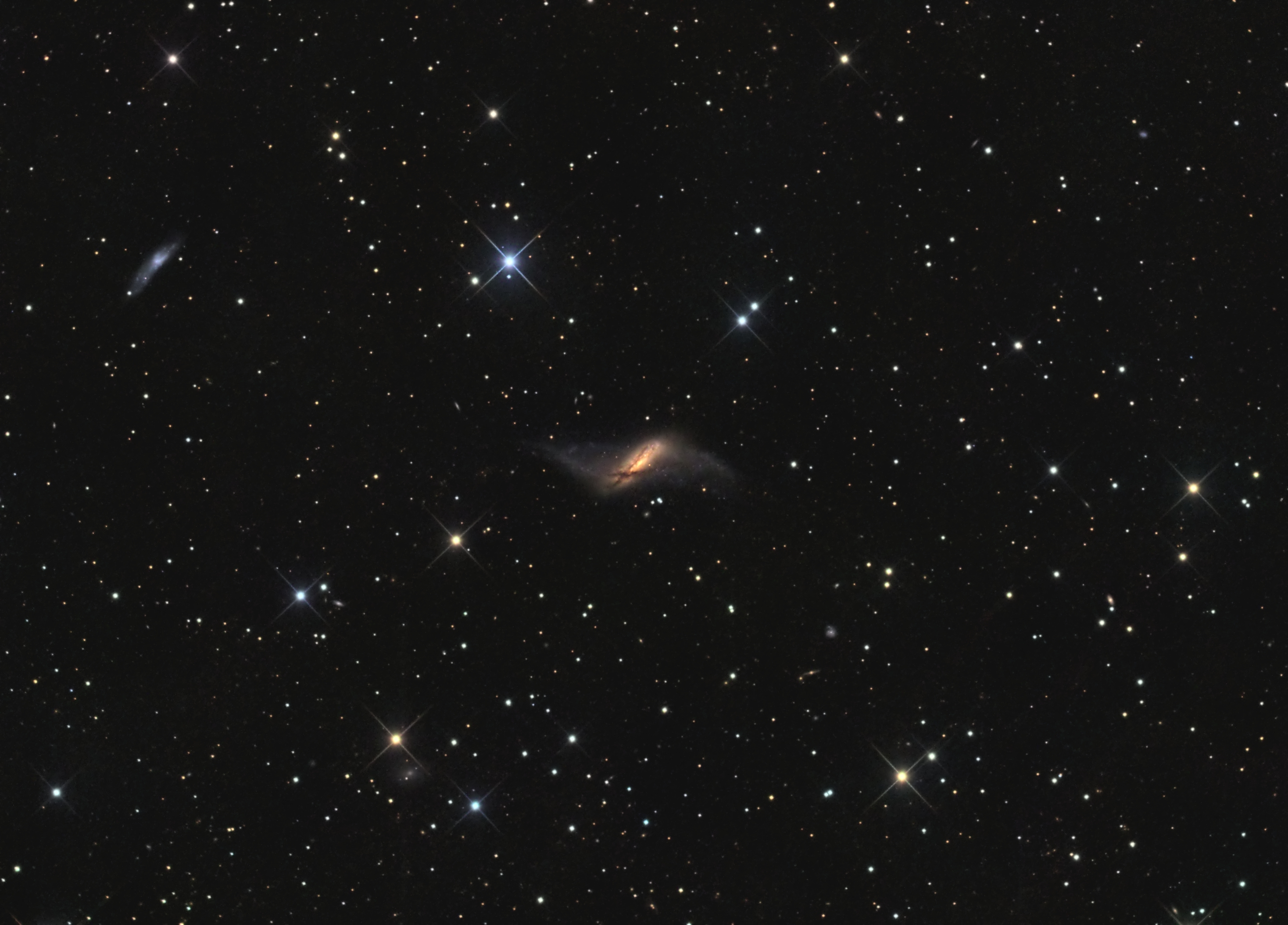 NGC 660 by Ron Brecher