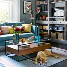 dog asleep in a living room in front of a coffee table and colourful sofa with a TV on a unit behind
