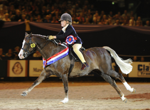 2011: Crystal Vision ridden by Harriet Dennison