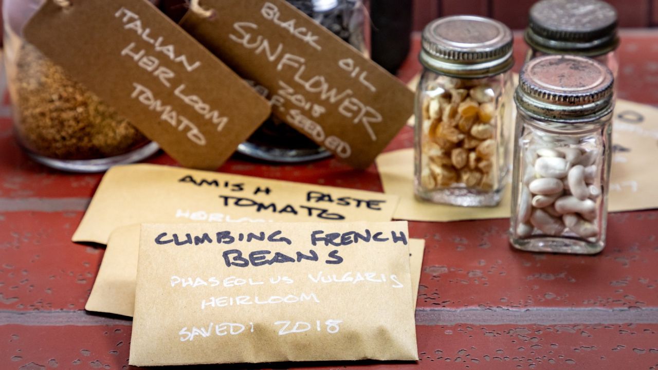 Seeds in envelopes and jars