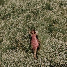 Patchouli perfume: girl lying in a flower meadow