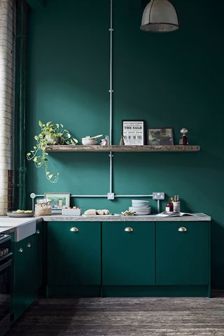 Teal blue kitchen cabinets and walls with wooden shelves filled with accessories and trailing plants
