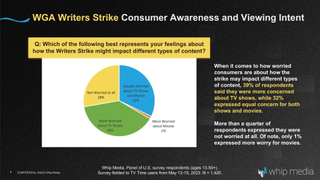 Whip Media survey on writer's strike