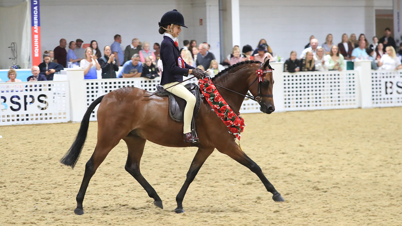 Stoneleigh Showtime