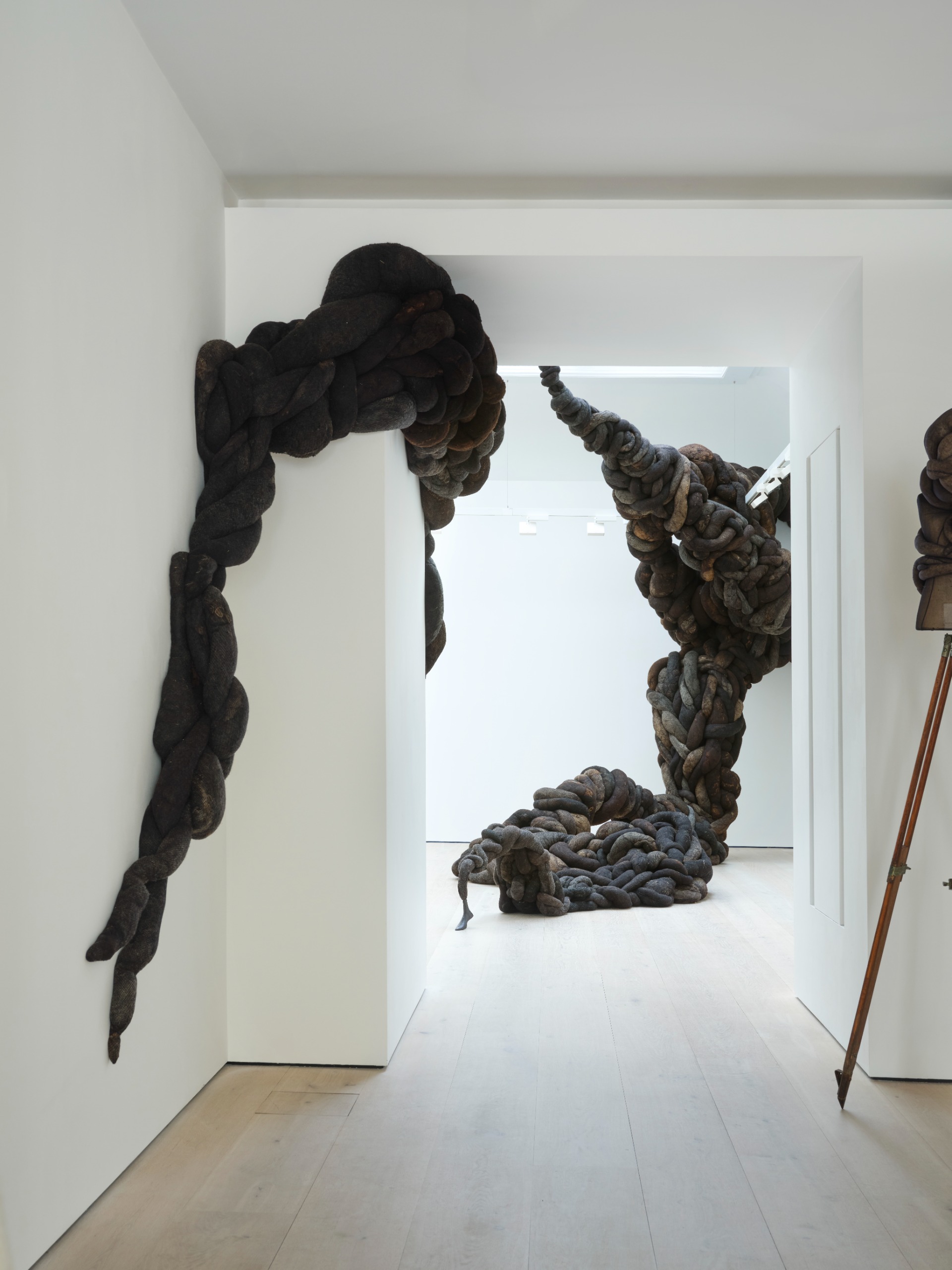 nicola turner's horeshair sculptures