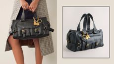 Image of mulberry lookalike