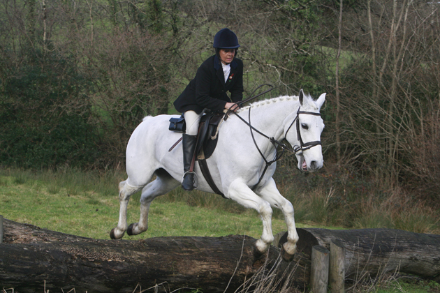 Carmarthenshire Hunt 20 12 2014