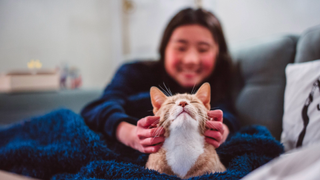 Cat lying down in front of a woman, who is stroking his cheeks