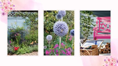 compilation image of three gardens with example of budget garden ideas to transform a space without overwhelming cost